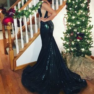 Prom/ winter formal dress